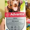 Vente Advantix antiparasitaire pour grand chien