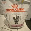Croquettes early rénale royal canin chats pas cher