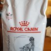 Vente Croquettes royal canin