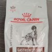 Croquettes royal canin gastro-intestinal