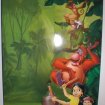 Vente Dvd livre de la jungle - asterix - shrek ...