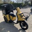 Annonce Scooter électrique 3 roues staby utilitaire