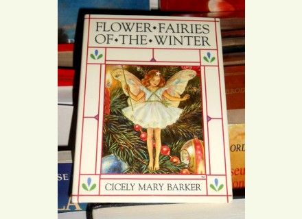 Flower fairies winter