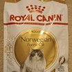 Vends croquettes pour chats royal canin norvégien