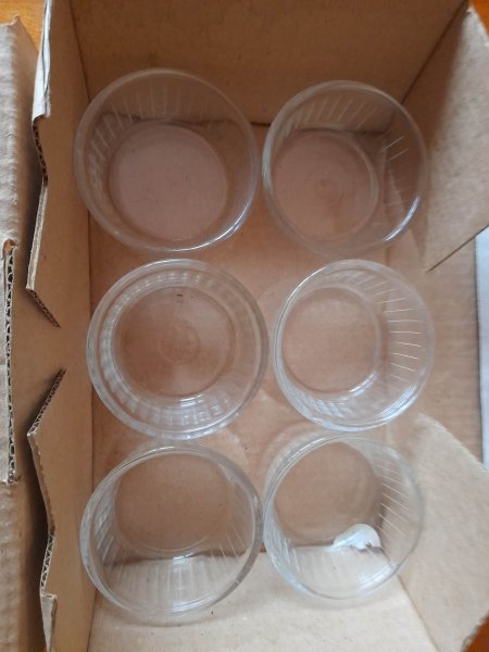 12 ramequins duralex - crème dessert pas cher