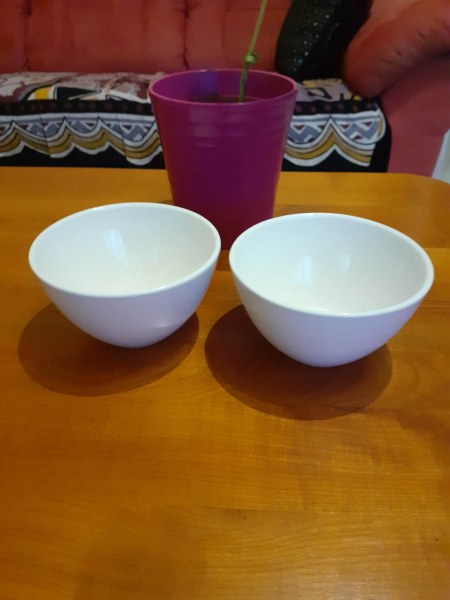 2 bols en céramique blanc - pas cher