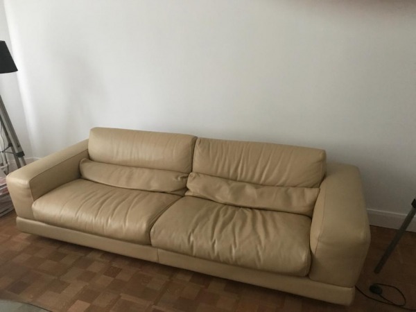 2 canapés roche bobois pas cher