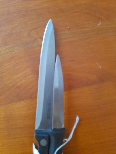 2 couteaux de cuisine  inox pas cher