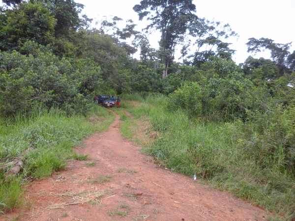 Annonce 500 h de terrain agricole louer à mengang/cameroun