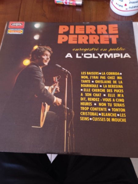 33 t " pierre perret "