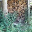 A vendre bois de chauffage région torcy tel 062479 pas cher