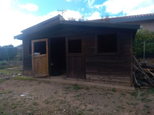 Vente Abri de jardin en bois