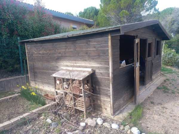 Abri de jardin en bois