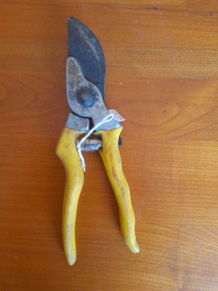 Ancien s&eacute;cateur en m&eacute;tal et manche plastifi&eacute;