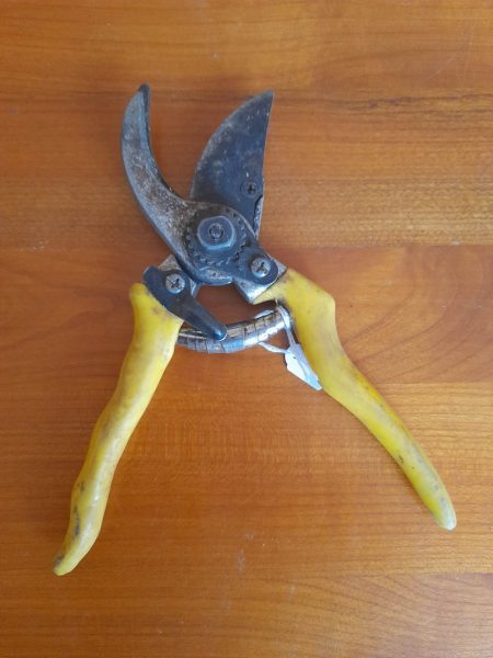 Vente Ancien s&eacute;cateur en m&eacute;tal et manche plastifi&eacute;