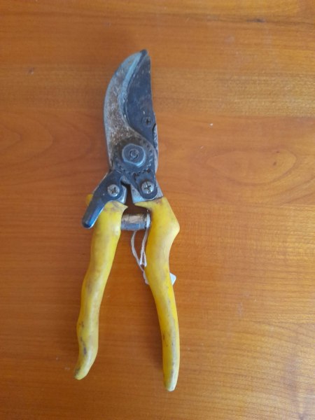 Ancien s&eacute;cateur en m&eacute;tal et manche plastifi&eacute; pas cher