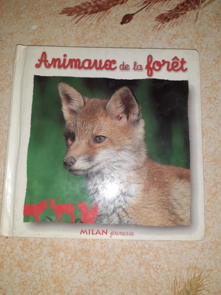 Animaux de la foret