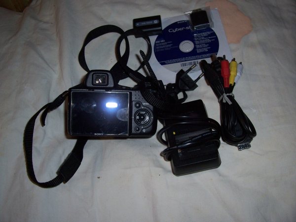 Appareil photo num&eacute;rique compact sony dsc-hx 1