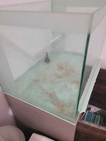 Aquarium recifal 100 l + meuble pas cher