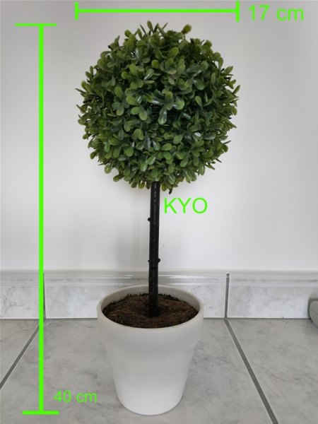 Arbre buis rond, hauteur 40 cm diamètre 17 cm