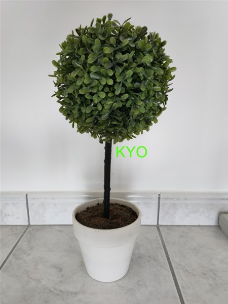 Vente Arbre buis rond, hauteur 40 cm diamètre 17 cm