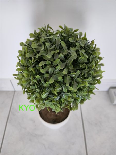 Arbre buis rond, hauteur 40 cm diamètre 17 cm pas cher