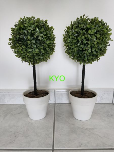 Annonce Arbre buis rond, hauteur 40 cm diamètre 17 cm