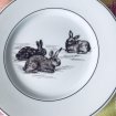 Annonce Assiettes en porcelaine - décorations volailles