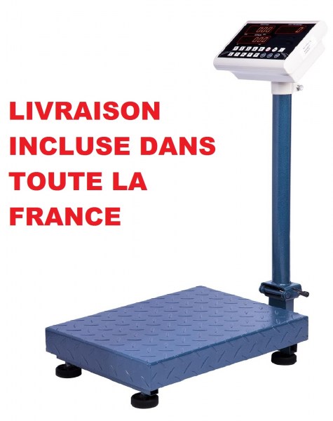 Balance &agrave; plateforme pliable 100 kg neuve
