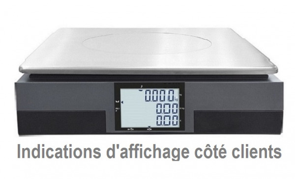 Vente Balance commerciale homologu&eacute;e neuve et livr&eacute;e