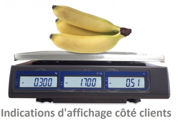 Vente Balance commerciale homologu&eacute;e neuve et livr&eacute;e