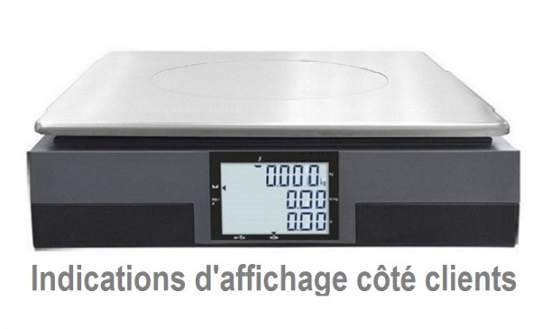 Vente Balance commerciale homologu&eacute;e - neuve / livr&eacute;e