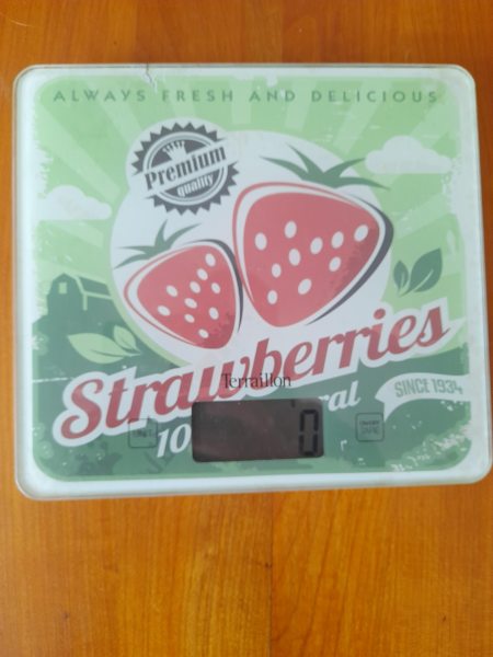 Balance de cuisine &eacute;lectronique t&eacute;rraillon t1040