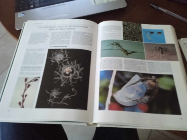 Vente Bd  " la fabuleuse aventure de la vie "