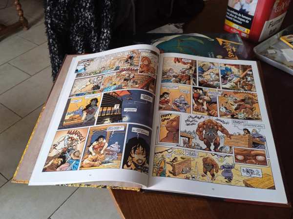 Bd " lanfeust de troy 4 " pas cher