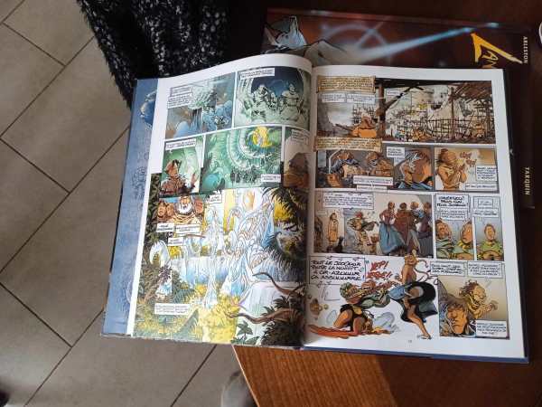 Bd " lanfeust de troy 7 " pas cher