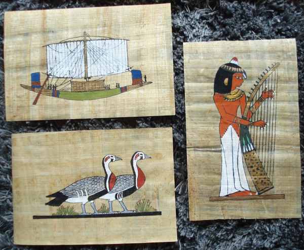 Vente Beaux petits papyrus