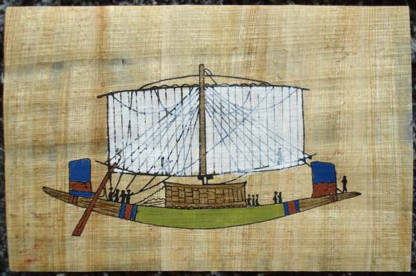 Beaux petits papyrus pas cher