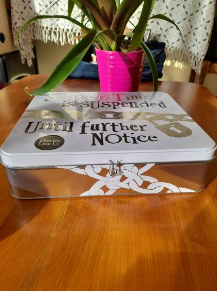 Boite de rangement d&eacute;corative en m&eacute;tal pas cher