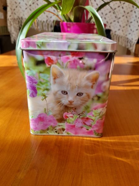 Annonce Boite m&eacute;tal vide d&eacute;coration chat