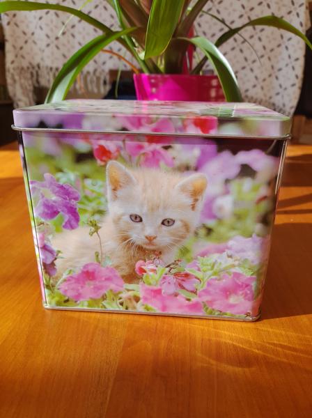 Boite m&eacute;tal vide d&eacute;coration chat