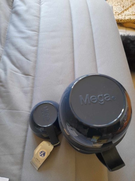 Annonce Bouteille thermos en plastique 1,9 l - eterna