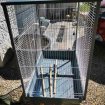 Cage oiseaux pas cher