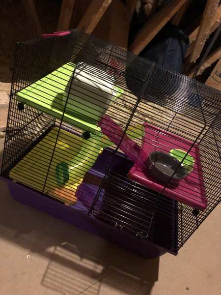 Vente Cage pour hamster