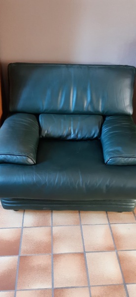 Canapé 2 places et fauteuil cuir vert pas cher