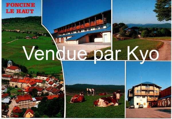 Carte postale foncine le haut, jura france - neuf