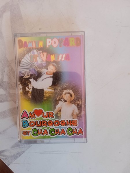 Cassette audio " damien poyard et vanessa "