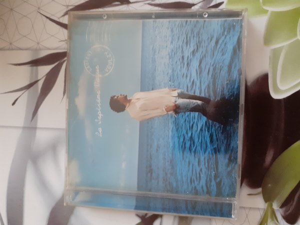 Cd  "laurent voulzy "