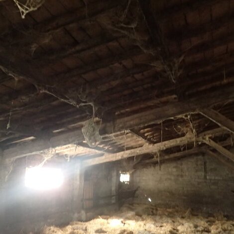 Charpente traditionnelle monopente