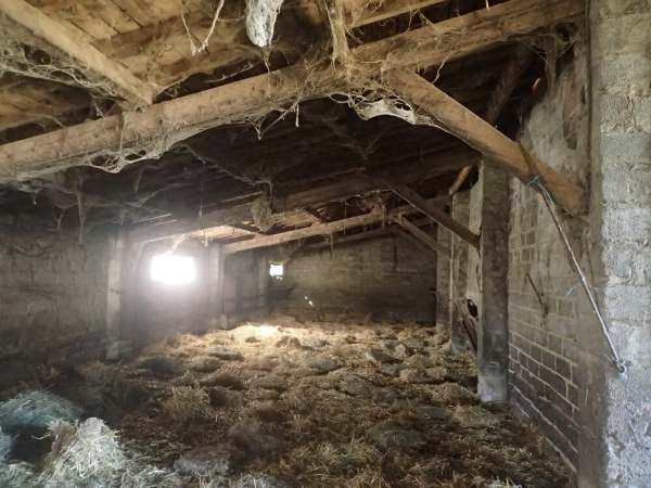 Annonce Charpente traditionnelle monopente